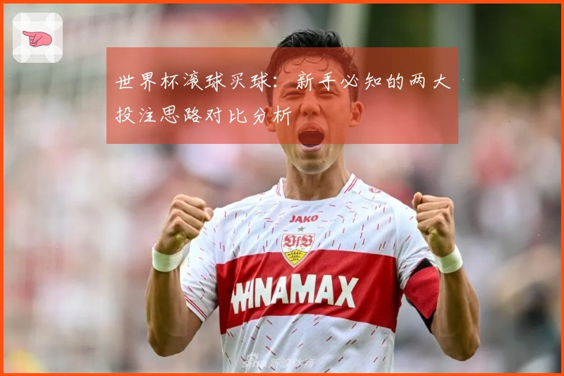 世界杯滚球买球：新手必知的两大投注思路对比分析