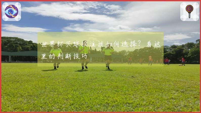 世界杯买球投注该如何选择？看这里的判断技巧