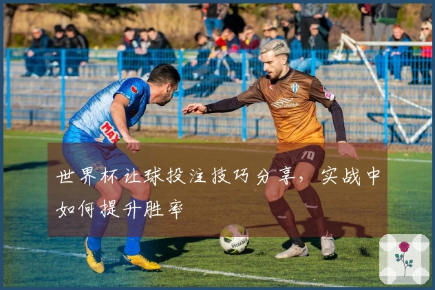 世界杯让球投注技巧分享，实战中如何提升胜率