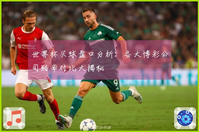 世界杯买球盘口分析：各大博彩公司赔率对比大揭秘