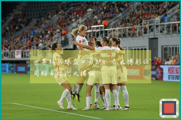 世界杯买球盘口分析：各大博彩公司赔率对比大揭秘
