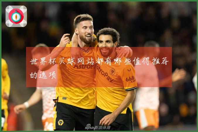 世界杯买球网站都有哪些值得推荐的选项