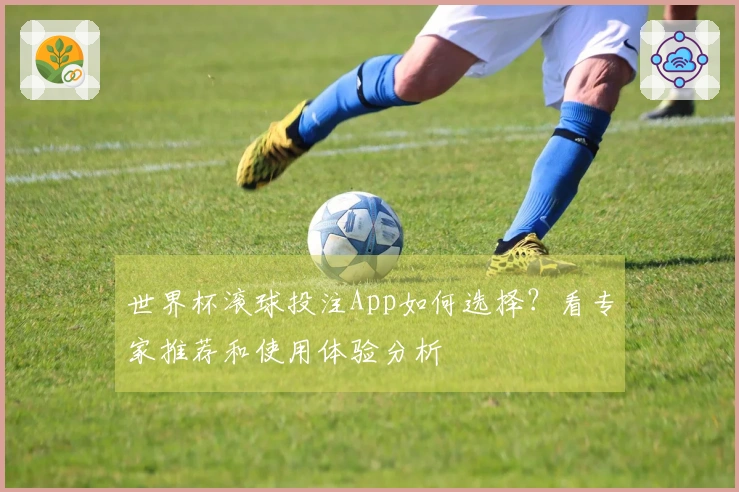 世界杯滚球投注App如何选择？看专家推荐和使用体验分析